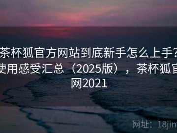 茶杯狐官方网站到底新手怎么上手？使用感受汇总（2025版），茶杯狐官网2021