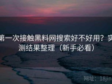 第一次接触黑料网搜索好不好用？实测结果整理（新手必看）