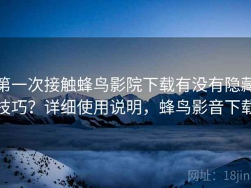 第一次接触蜂鸟影院下载有没有隐藏技巧？详细使用说明，蜂鸟影音下载