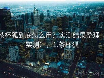 茶杯狐到底怎么用？实测结果整理（实测），1.茶杯狐