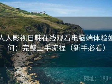 人人影视日韩在线观看电脑端体验如何：完整上手流程（新手必看）