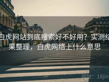 白虎网站到底搜索好不好用？实测结果整理，白虎网络上什么意思