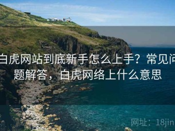 白虎网站到底新手怎么上手？常见问题解答，白虎网络上什么意思