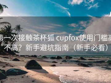 第一次接触茶杯狐 cupfox使用门槛高不高？新手避坑指南（新手必看）