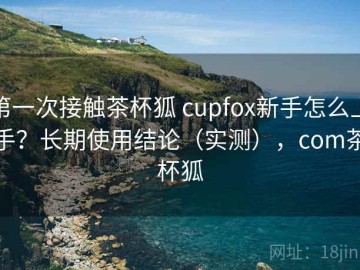 第一次接触茶杯狐 cupfox新手怎么上手？长期使用结论（实测），com茶杯狐