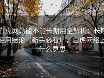 白虎网站能不能长期用全解析：长期使用结论（新手必看），白虎网络上什么意思