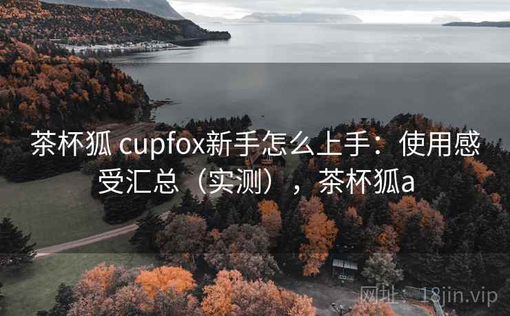茶杯狐 cupfox新手怎么上手：使用感受汇总（实测），茶杯狐a