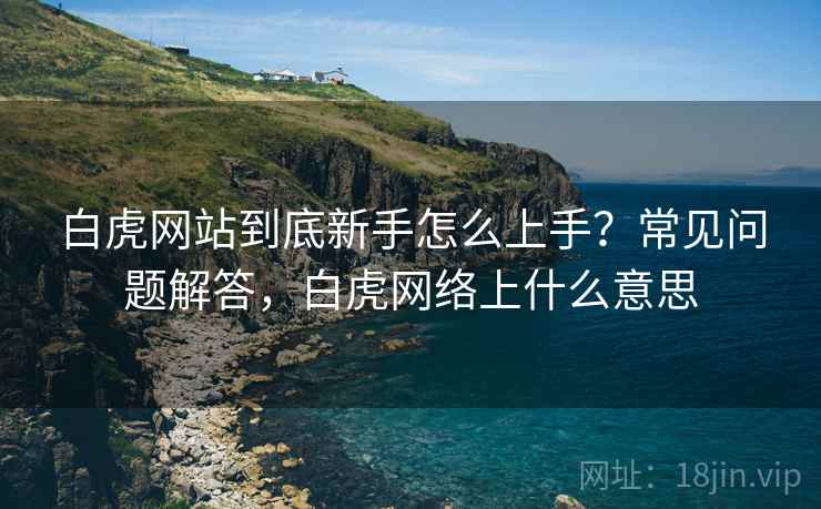 白虎网站到底新手怎么上手?常见问题解答,白虎网络上什么意思 白虎网站到底新手怎么上手?常见问题解答,白虎网络上什么意思