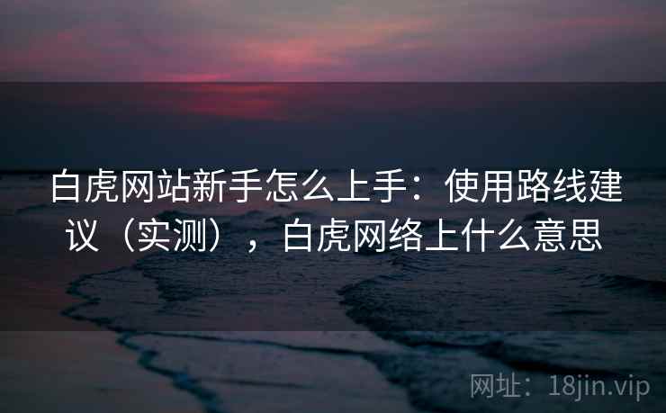 白虎网站新手怎么上手：使用路线建议（实测），白虎网络上什么意思