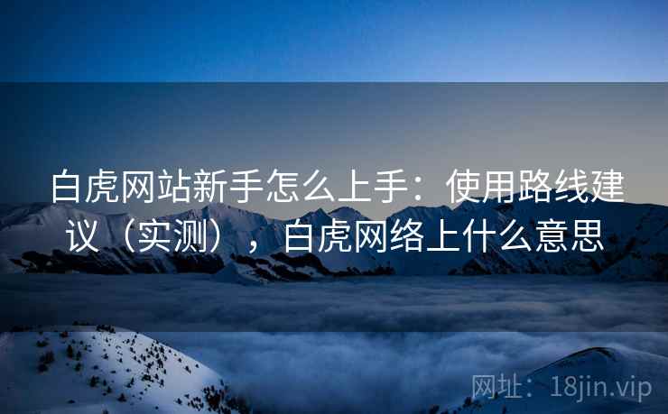 白虎网站新手怎么上手：使用路线建议（实测），白虎网络上什么意思