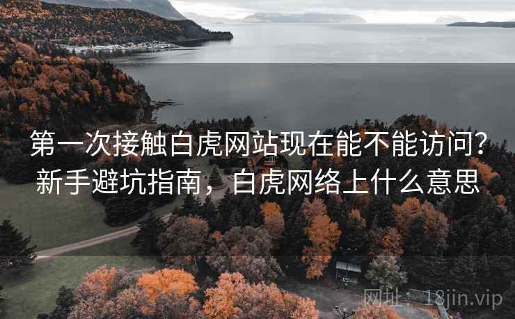 第一次接触白虎网站现在能不能访问？新手避坑指南，白虎网络上什么意思