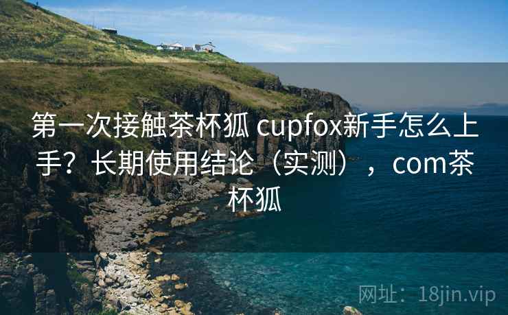 第一次接触茶杯狐 cupfox新手怎么上手？长期使用结论（实测），com茶杯狐