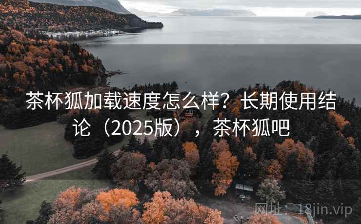 茶杯狐加载速度怎么样？长期使用结论（2025版），茶杯狐吧
