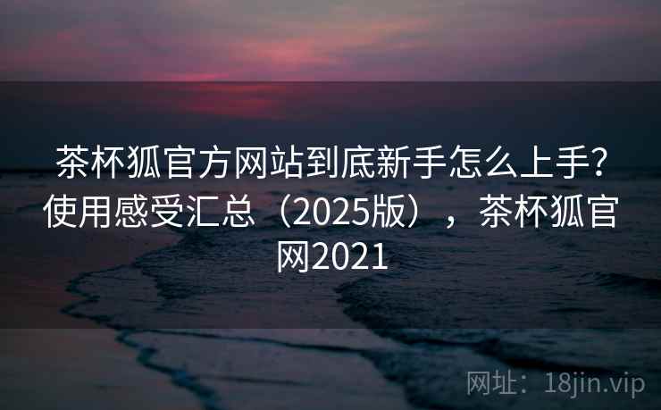茶杯狐官方网站到底新手怎么上手？使用感受汇总（2025版），茶杯狐官网2021