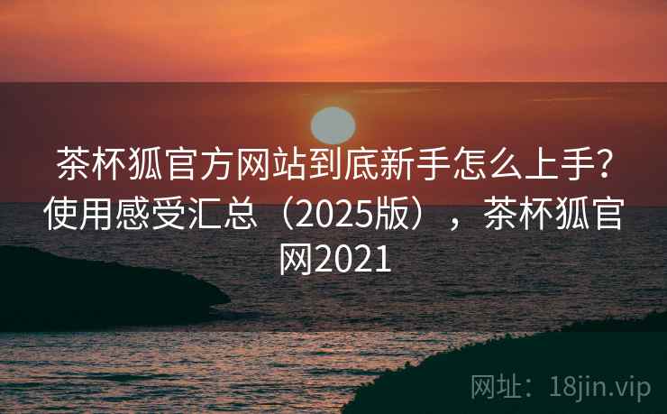 茶杯狐官方网站到底新手怎么上手？使用感受汇总（2025版），茶杯狐官网2021